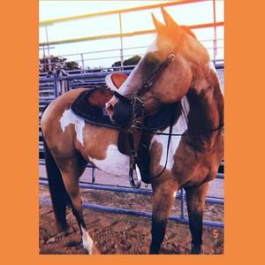 Meet your Posher, Kyleigh